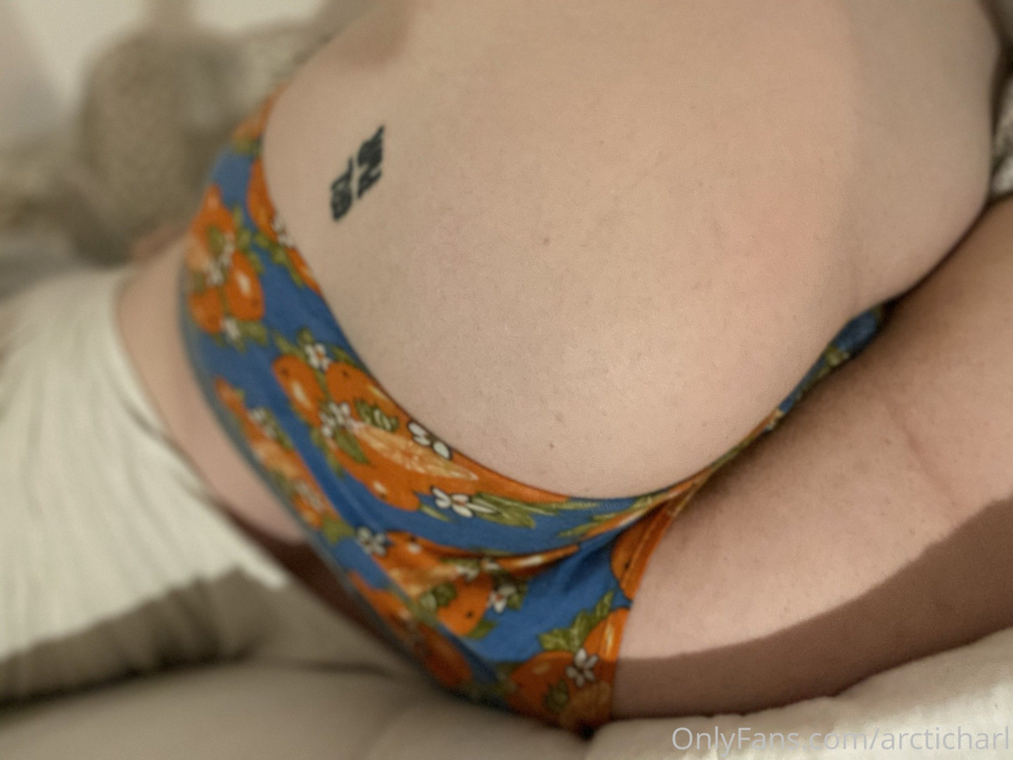 Photo by arcticharl published on November 24,2023 11:50:19 - BestThots