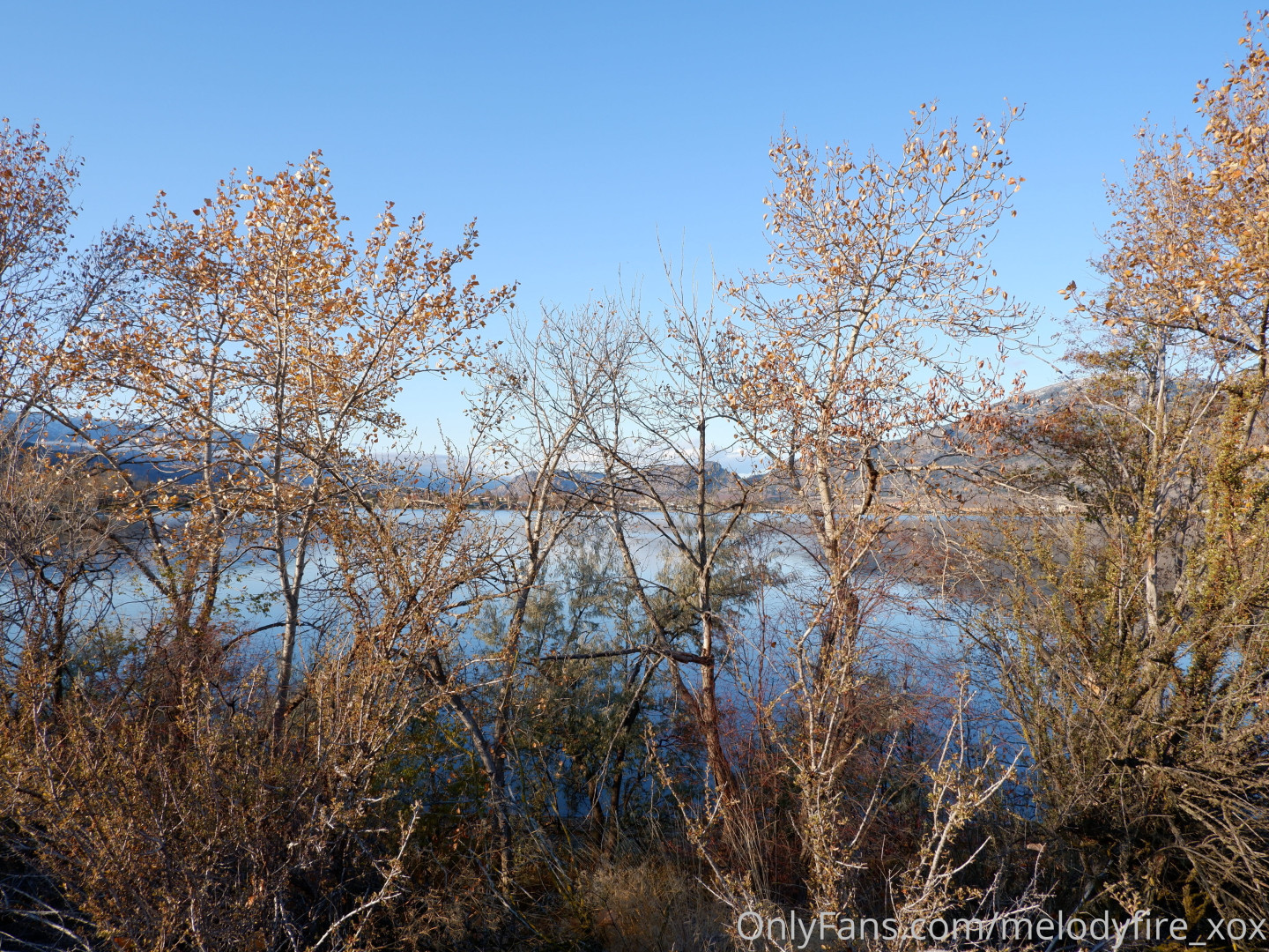 Photo by melodyfire_xox published on October 14,2023 23:29:08 - BestThots