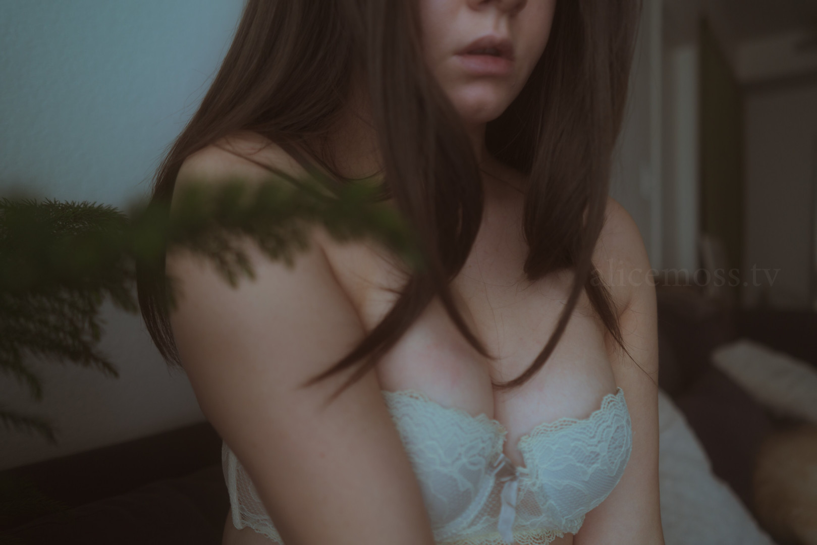 Photo by alicemoss published on November 20,2023 01:21:09 - BestThots