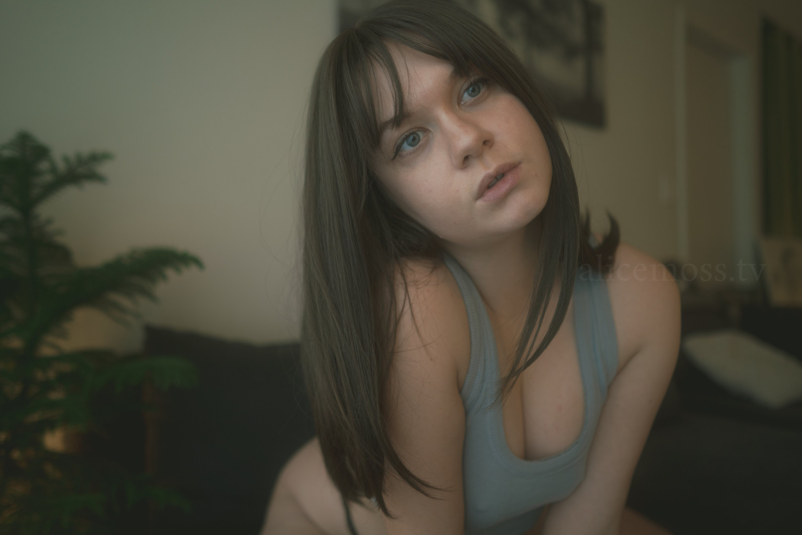 Photo by alicemoss published on November 20,2023 01:21:10 - BestThots