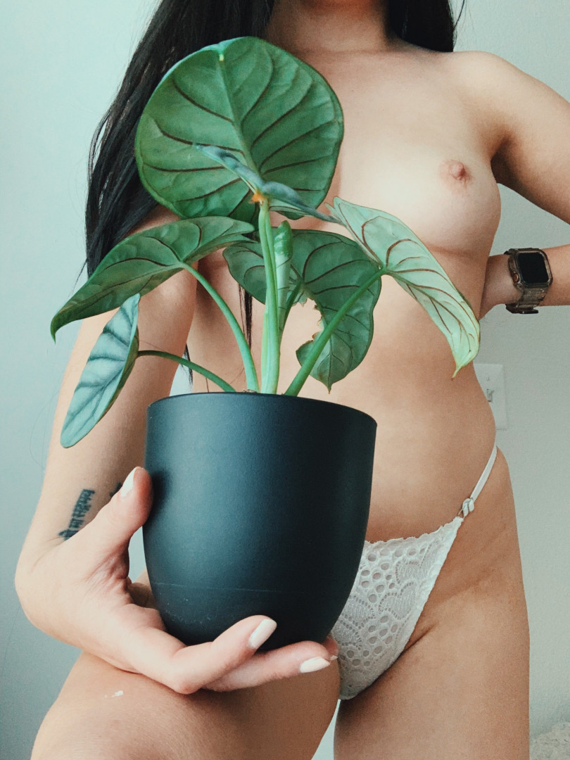 Photo by alicemoss published on November 20,2023 01:22:45 - BestThots
