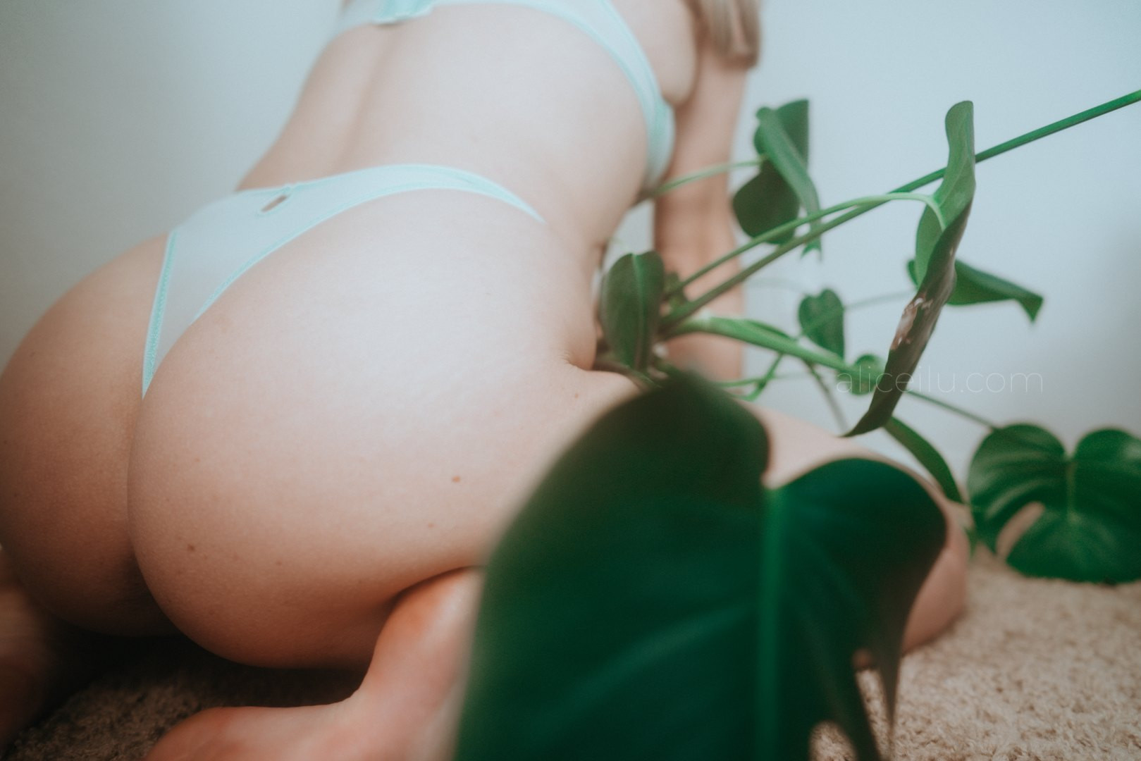 Photo by alicemoss published on November 20,2023 01:22:57 - BestThots