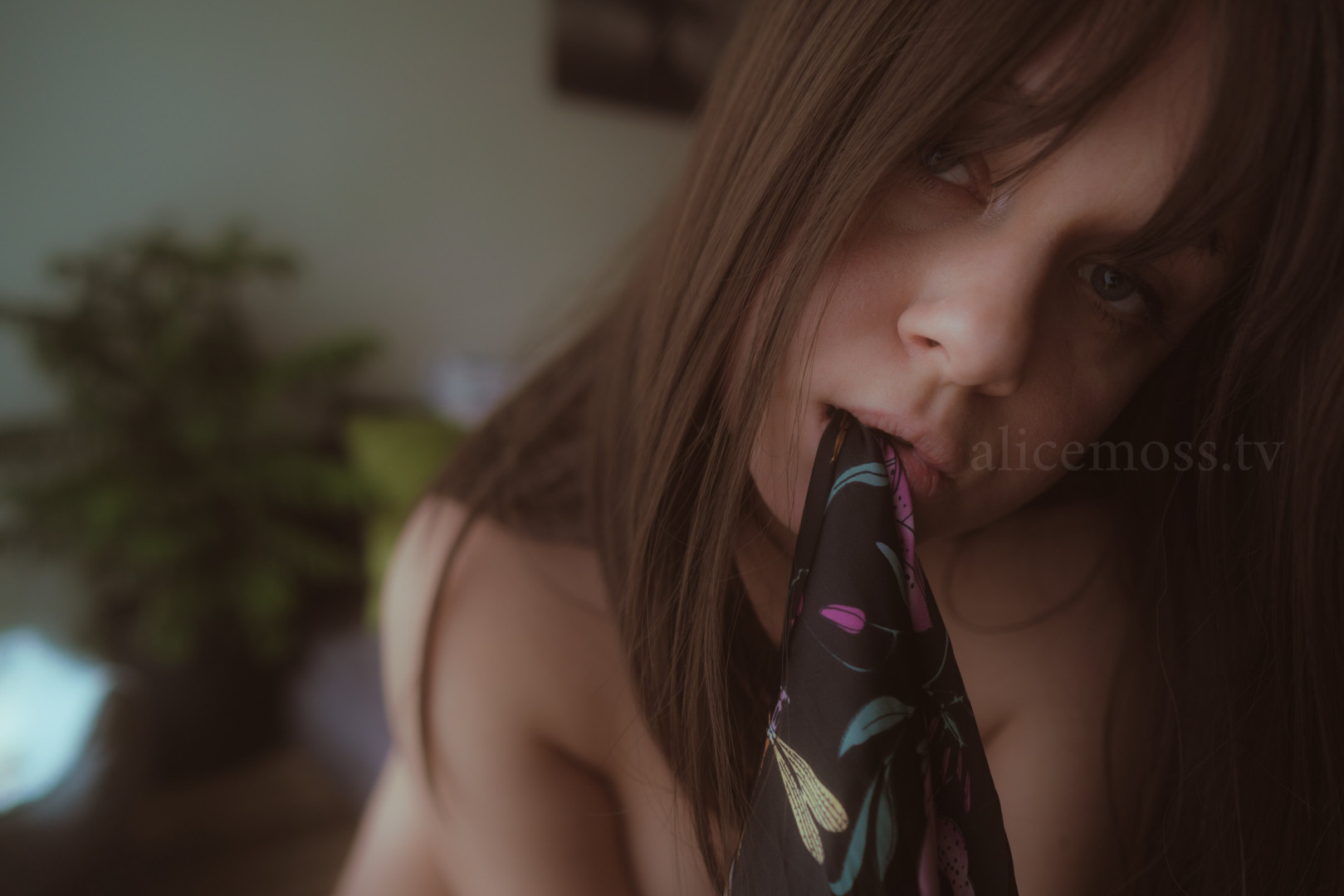Photo by alicemoss published on November 20,2023 01:27:16 - BestThots