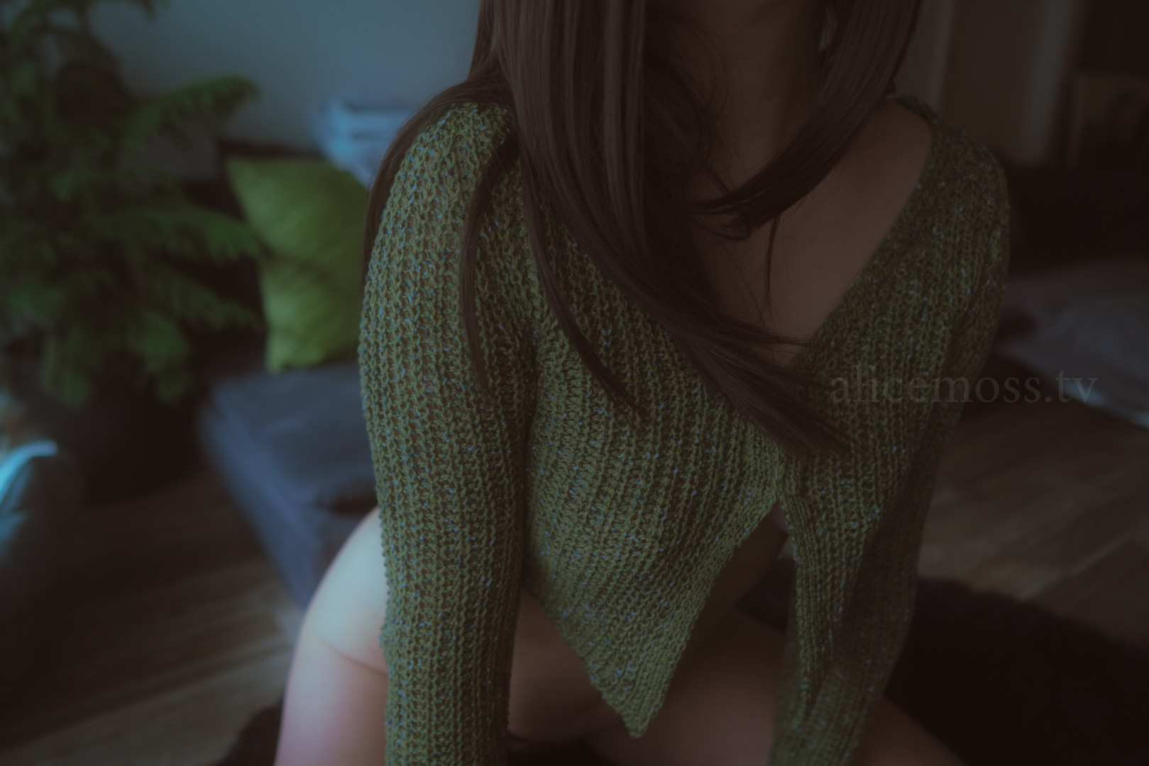 Photo by alicemoss published on November 20,2023 01:48:24 - BestThots