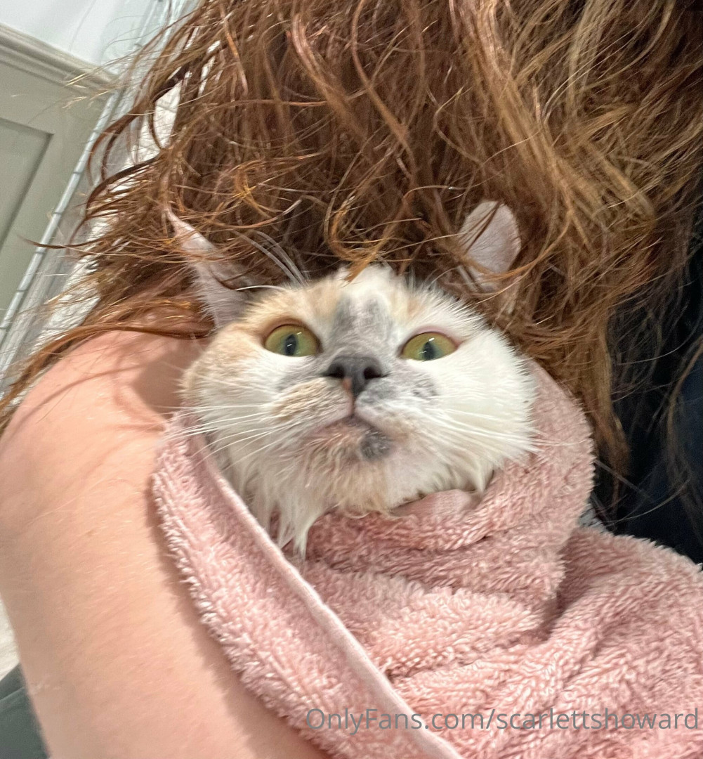 Photo by scarlettshoward published on August 6,2023 20:21:04 - BestThots