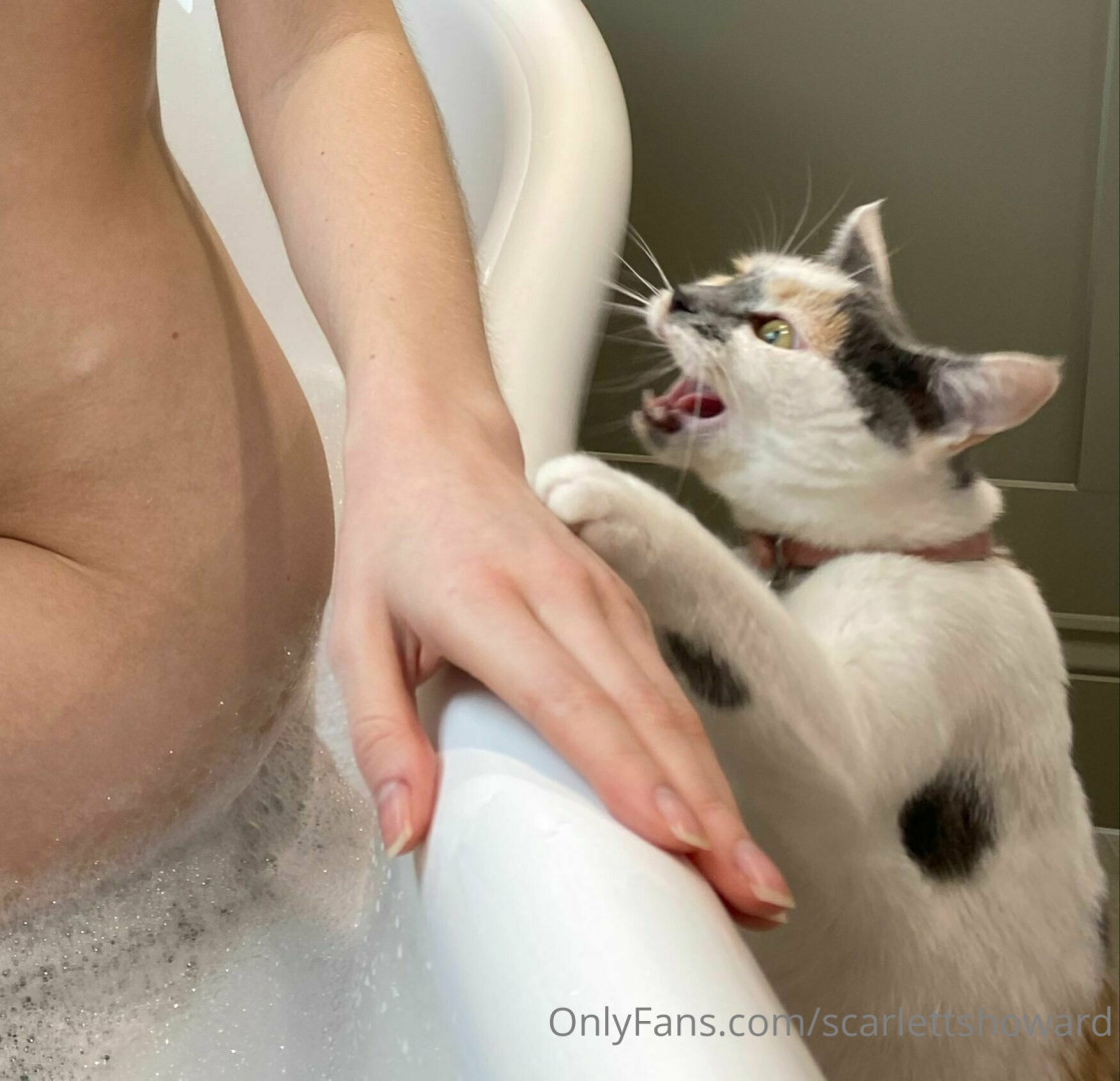 Photo by scarlettshoward published on August 6,2023 20:32:54 - BestThots