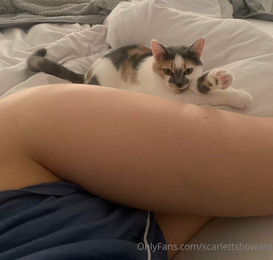 Photo by scarlettshoward published on August 6,2023 20:33:43 - BestThots