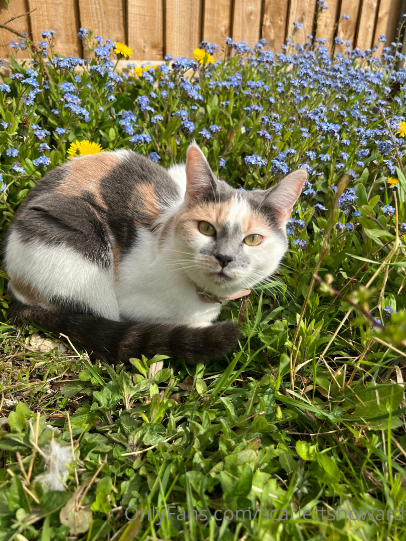 Photo by scarlettshoward published on August 6,2023 20:34:28 - BestThots