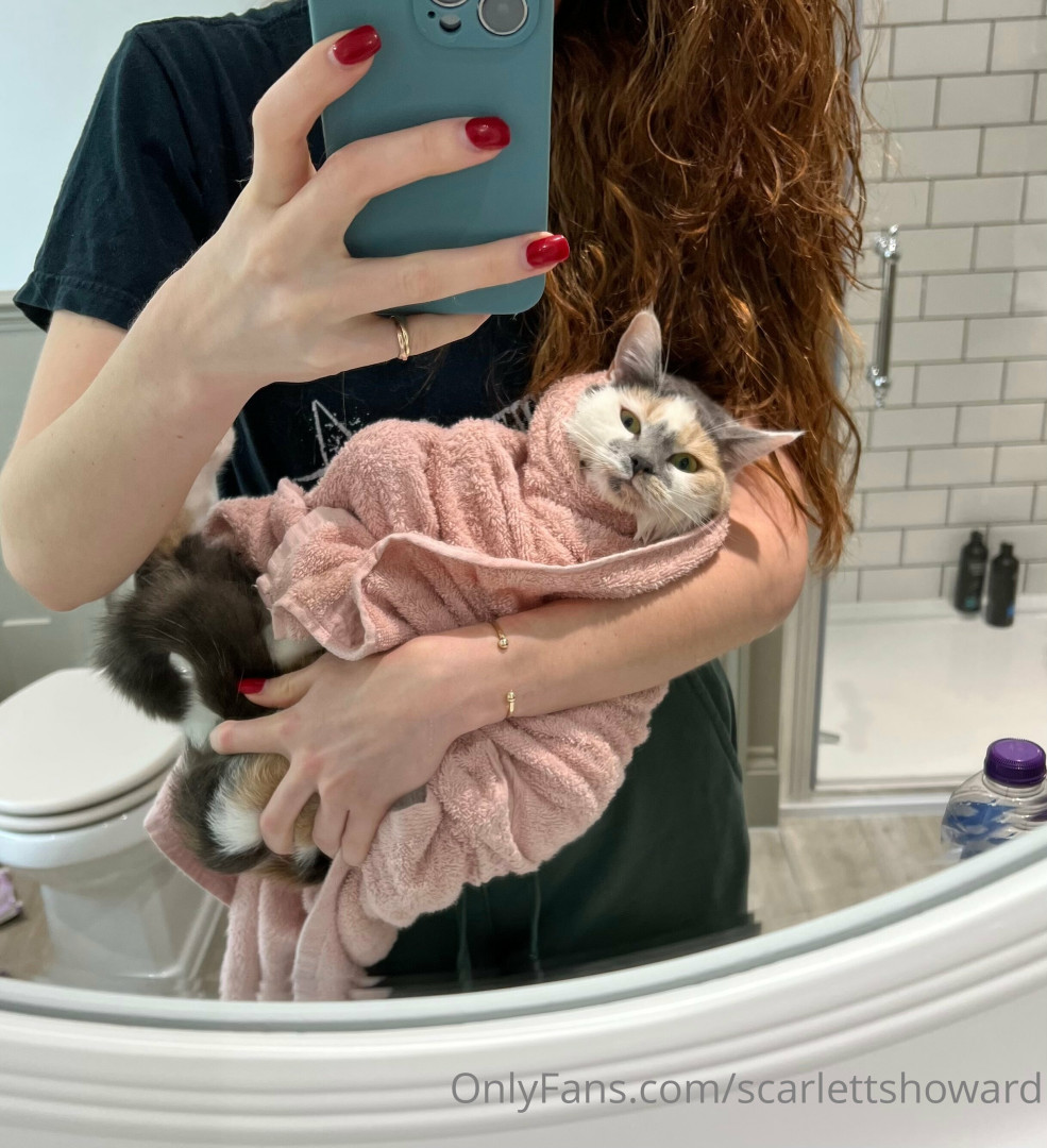 Photo by scarlettshoward published on August 6,2023 20:38:28 - BestThots