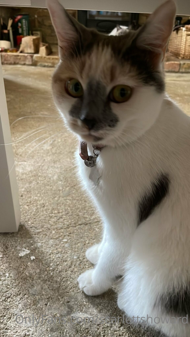 Photo by scarlettshoward published on August 6,2023 20:40:49 - BestThots