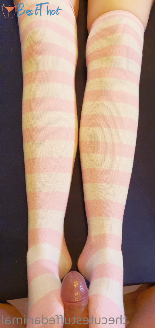 thecutestuffedanimal #9625058