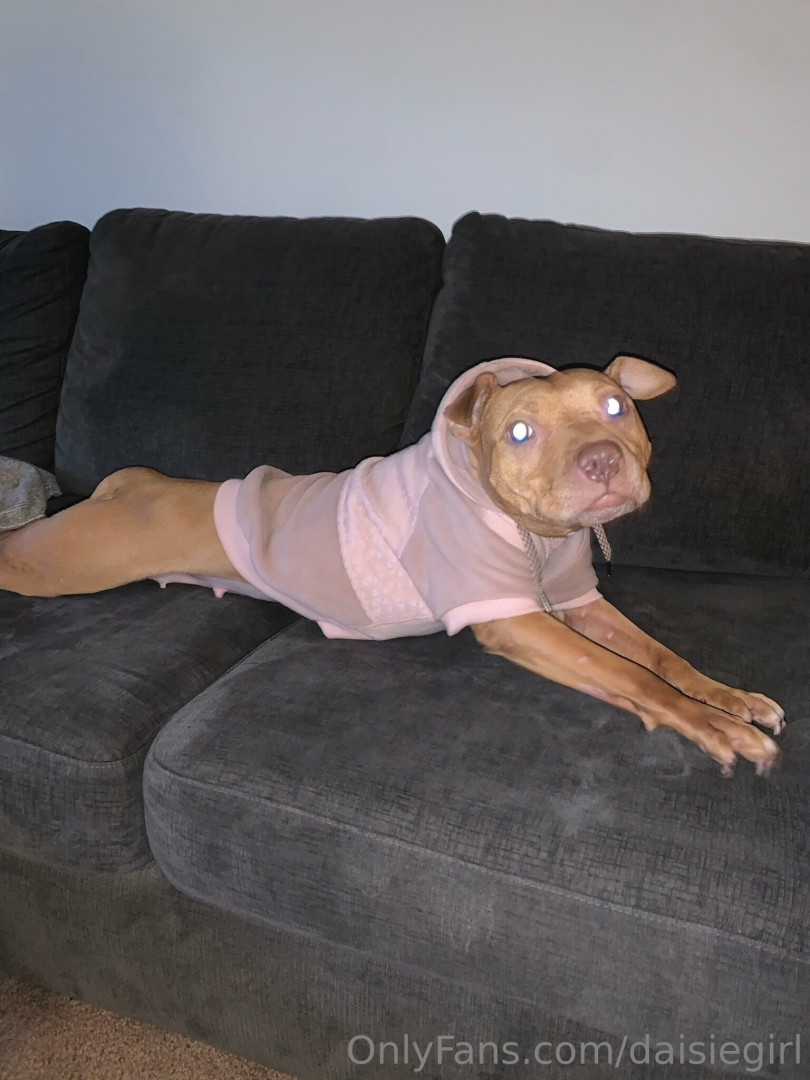Photo by daisiegirl published on October 14,2023 10:03:29 - BestThots