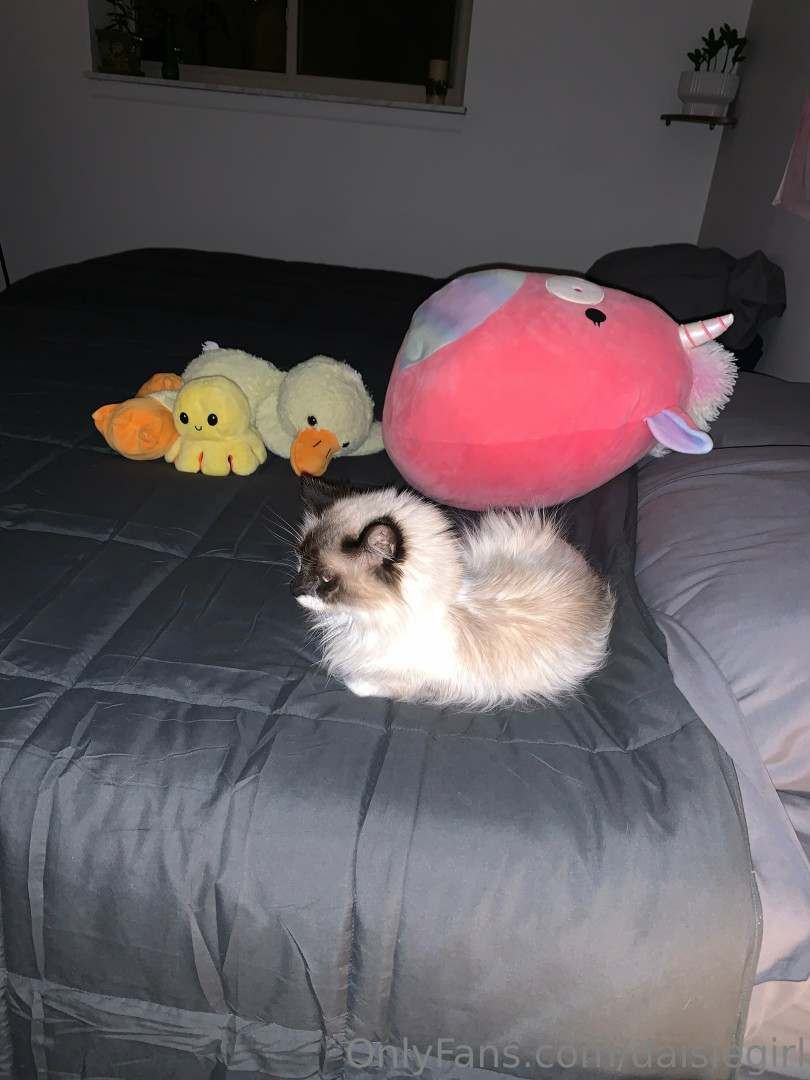 Photo by daisiegirl published on October 14,2023 18:58:38 - BestThots