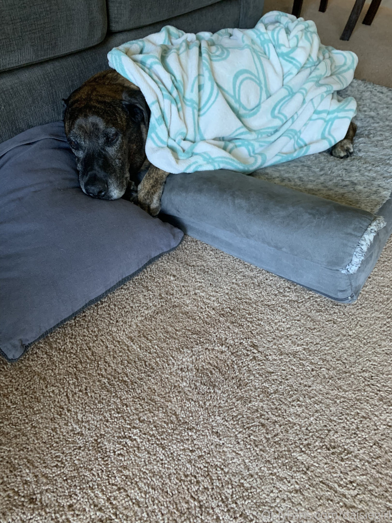 Photo by daisiegirl published on October 14,2023 23:29:01 - BestThots