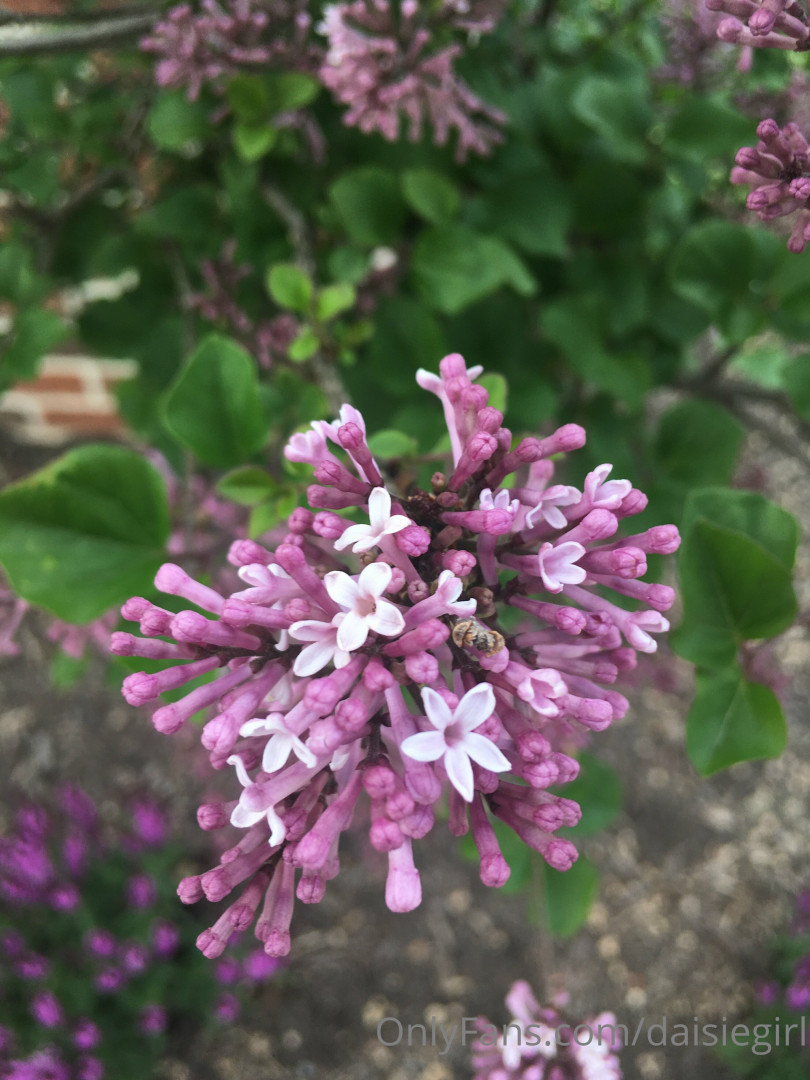 Photo by daisiegirl published on October 14,2023 23:42:49 - BestThots