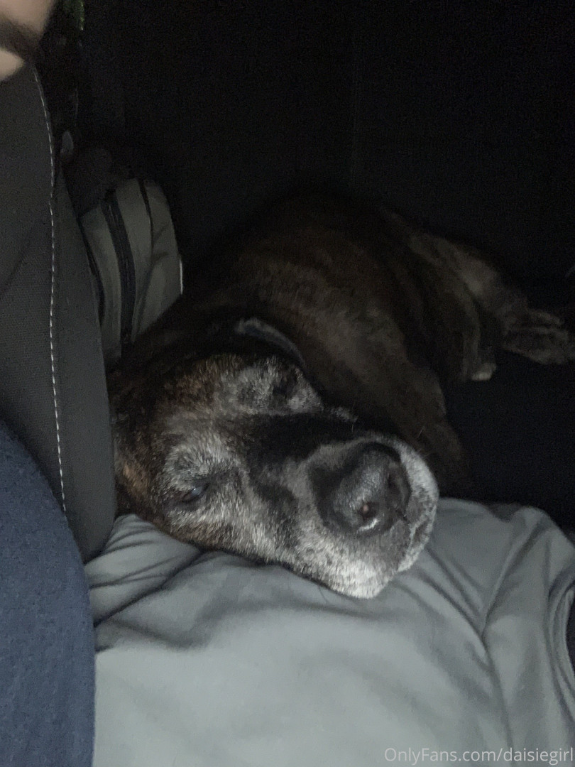 Photo by daisiegirl published on October 14,2023 23:50:17 - BestThots