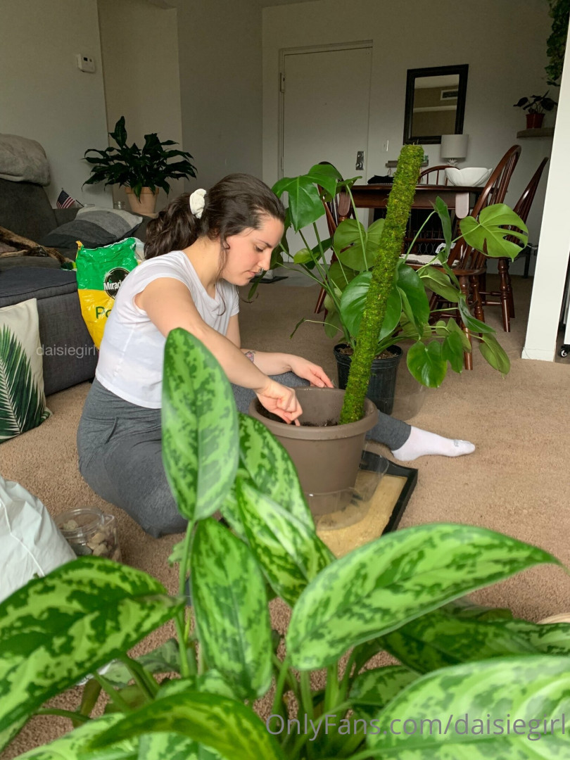 Photo by daisiegirl published on October 15,2023 00:06:47 - BestThots