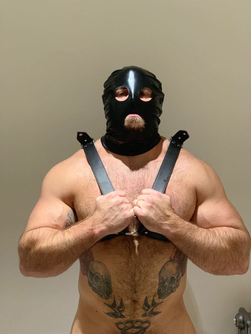 Photo by thebritishbear1 published on May 17,2023 03:27:35 - BestThots
