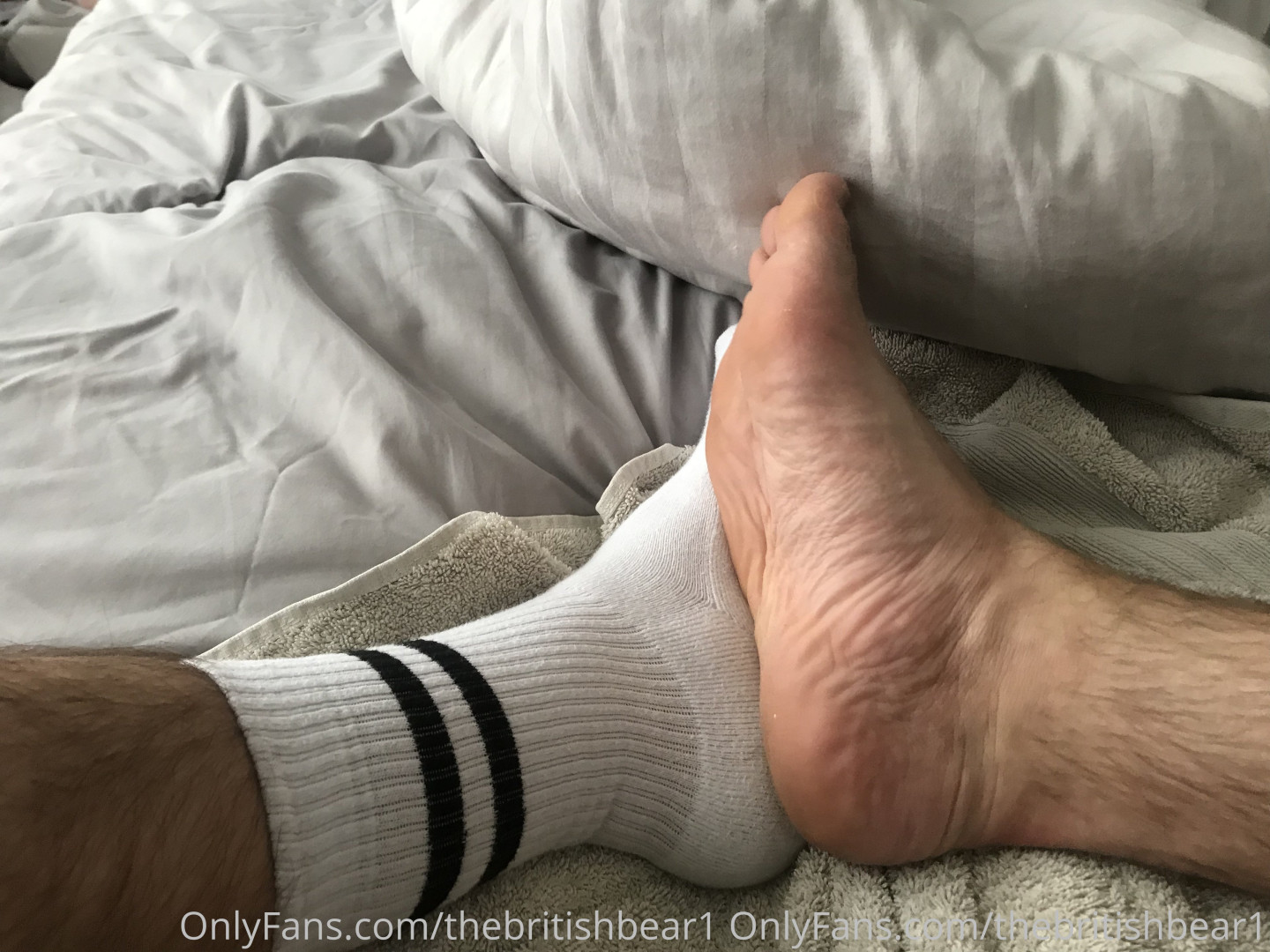 Photo by thebritishbear1 published on May 17,2023 03:35:32 - BestThots