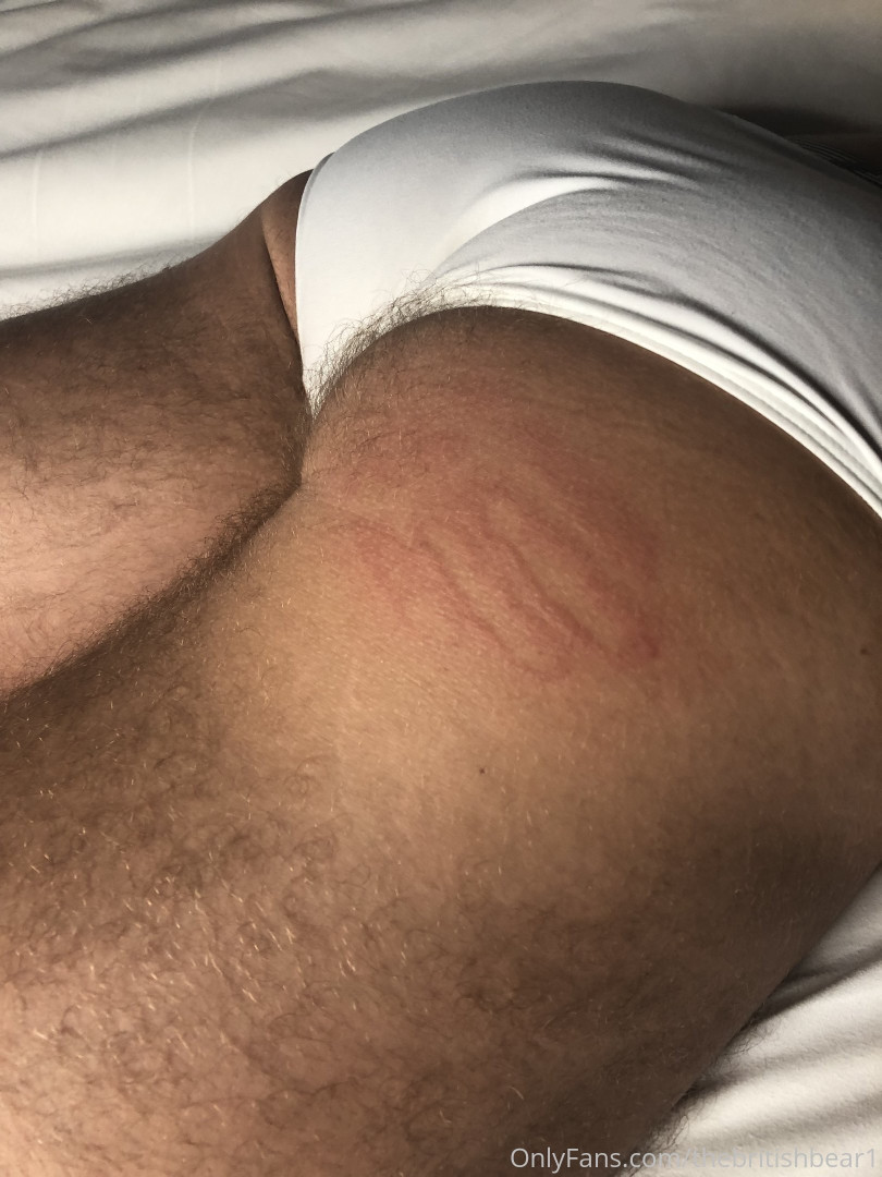 Photo by thebritishbear1 published on May 17,2023 03:37:16 - BestThots