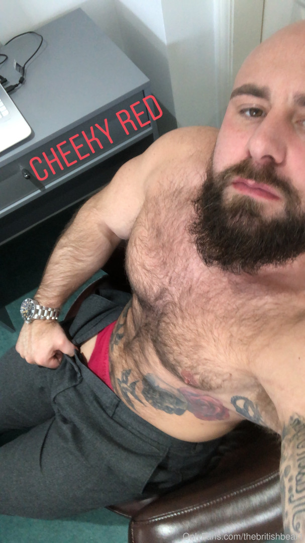 Photo by thebritishbear1 published on May 17,2023 03:37:48 - BestThots