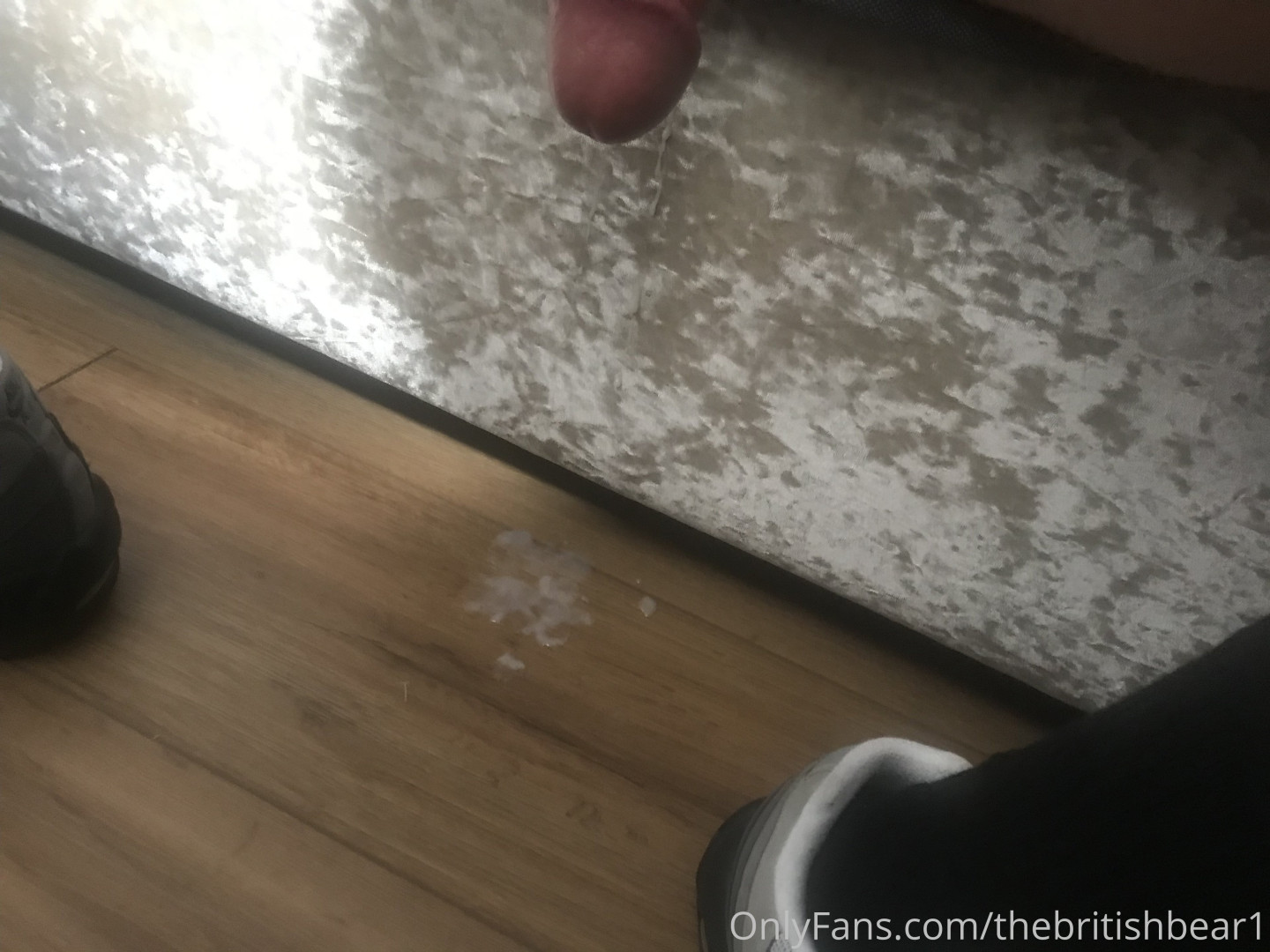 Photo by thebritishbear1 published on May 17,2023 03:39:31 - BestThots