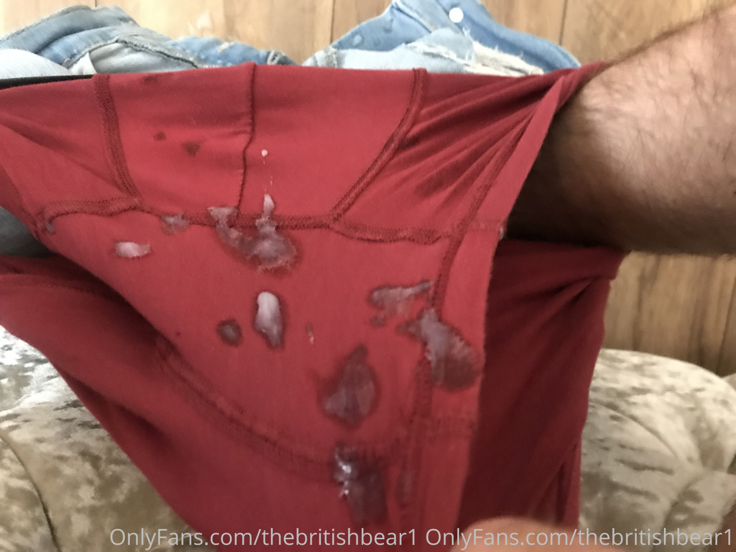 Photo by thebritishbear1 published on May 17,2023 03:42:37 - BestThots