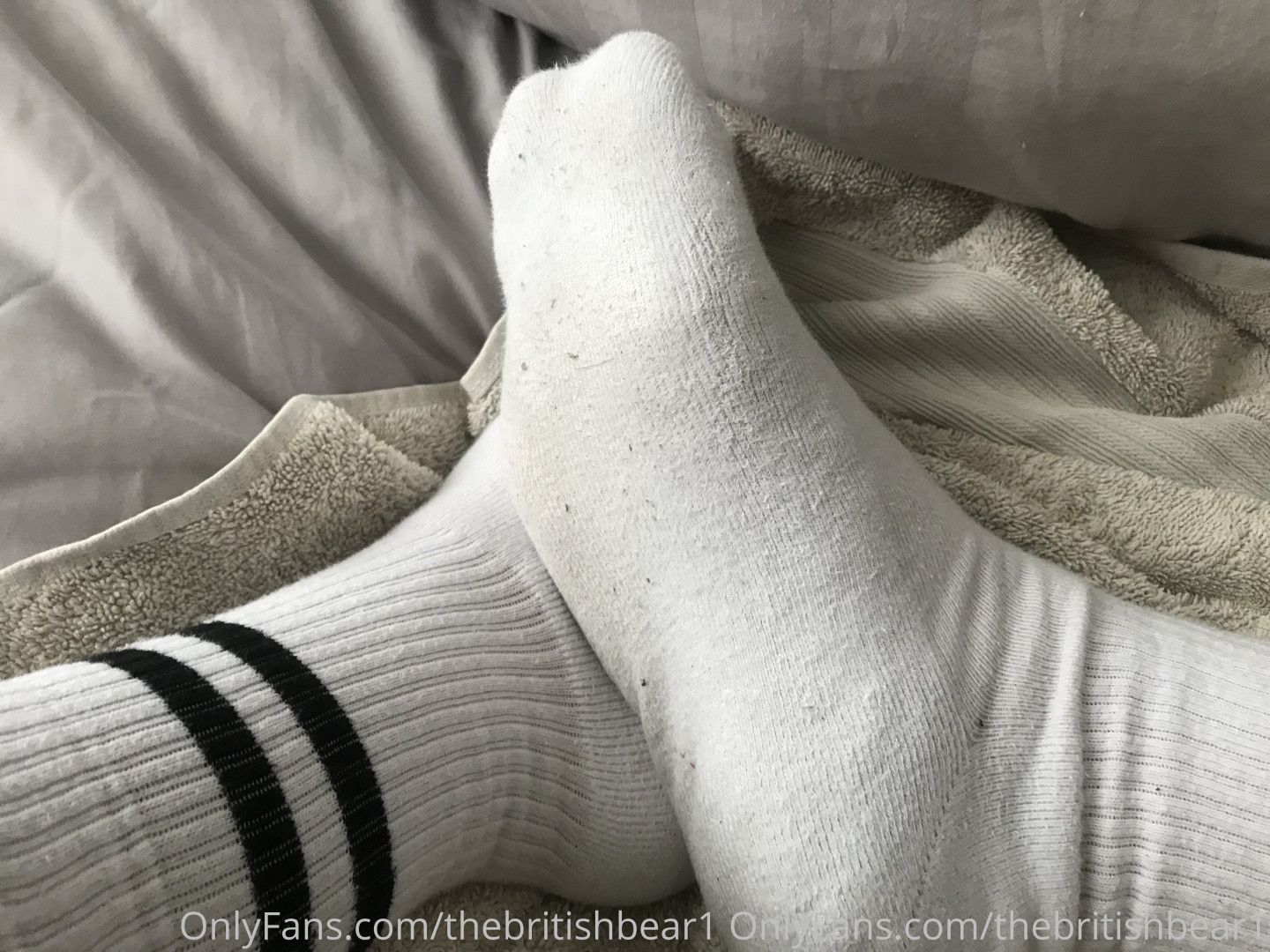 Photo by thebritishbear1 published on May 17,2023 03:43:17 - BestThots