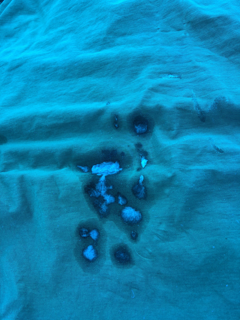 Photo by thebritishbear1 published on May 17,2023 03:43:42 - BestThots