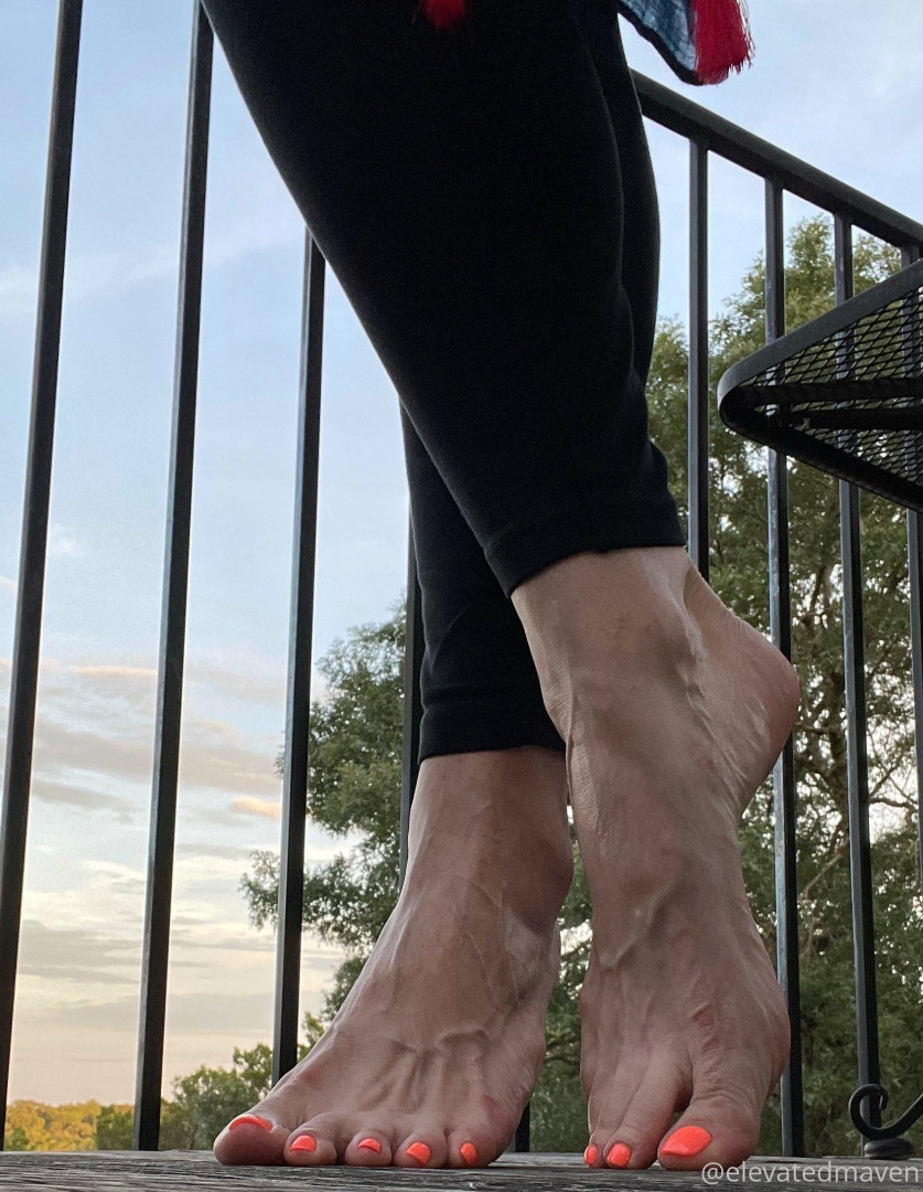 Photo by elevatedmaven published on January 14,2024 06:57:25 - BestThots