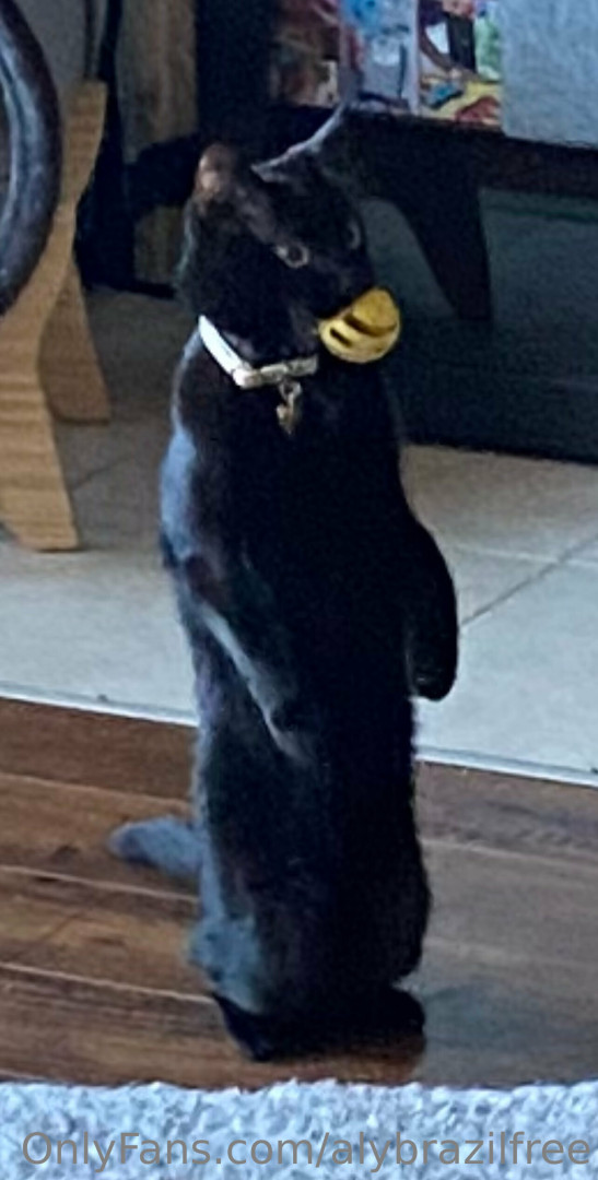 Photo by ashucosfree published on May 30,2023 21:38:59 - BestThots