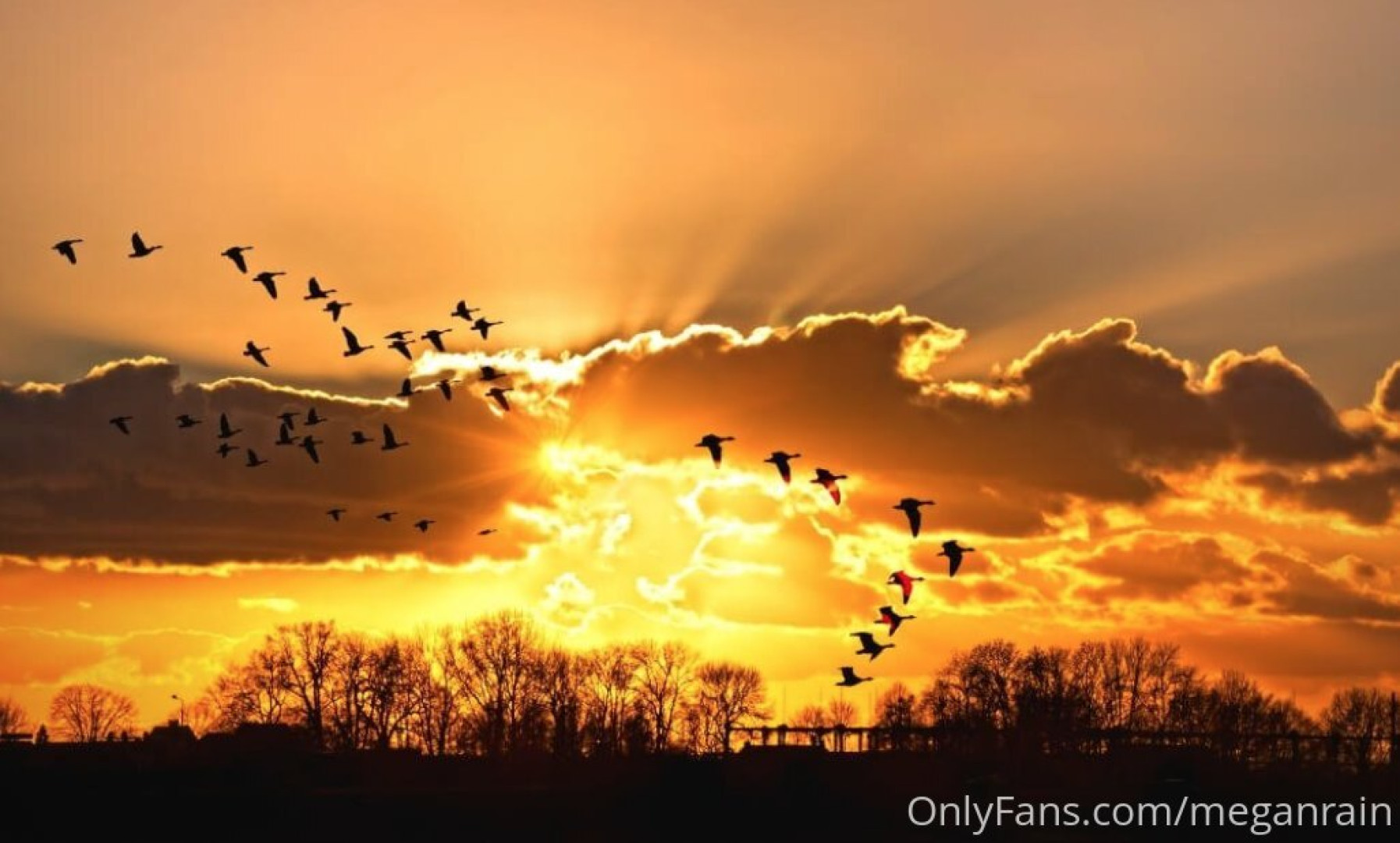 Photo by meganrain published on October 17,2023 05:53:33 - BestThots