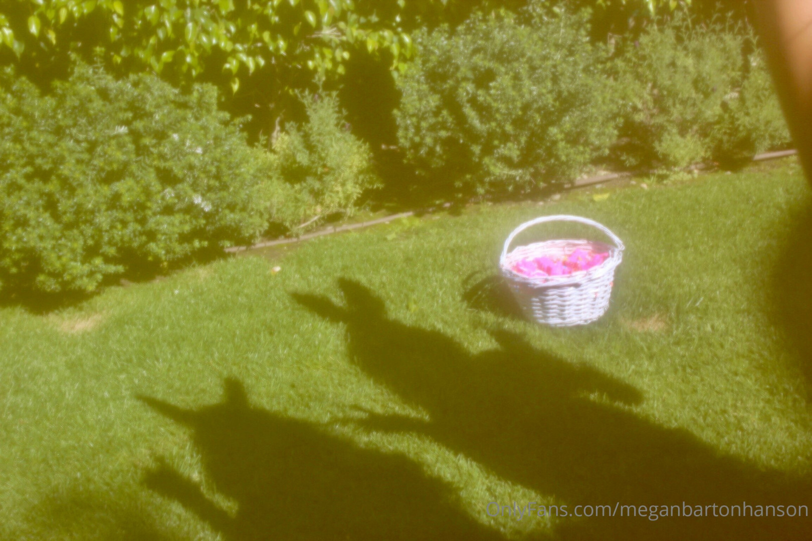 Photo by meganbartonhanson published on October 16,2023 18:09:23 - BestThots