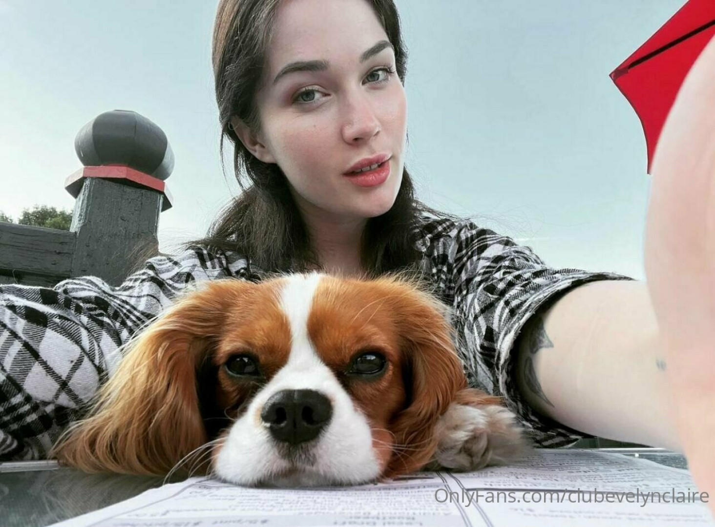 Photo by clubevelynclaire published on July 31,2023 11:57:46 - BestThots