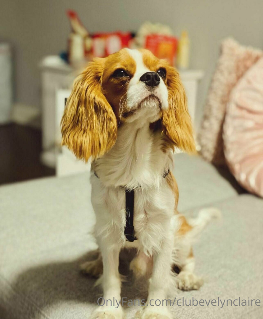 Photo by clubevelynclaire published on July 31,2023 11:58:41 - BestThots