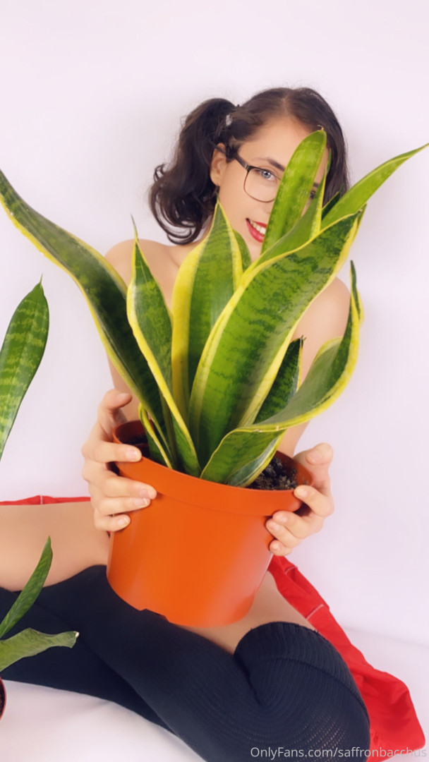 Photo by saffronbacchus published on June 5,2023 17:17:59 - BestThots