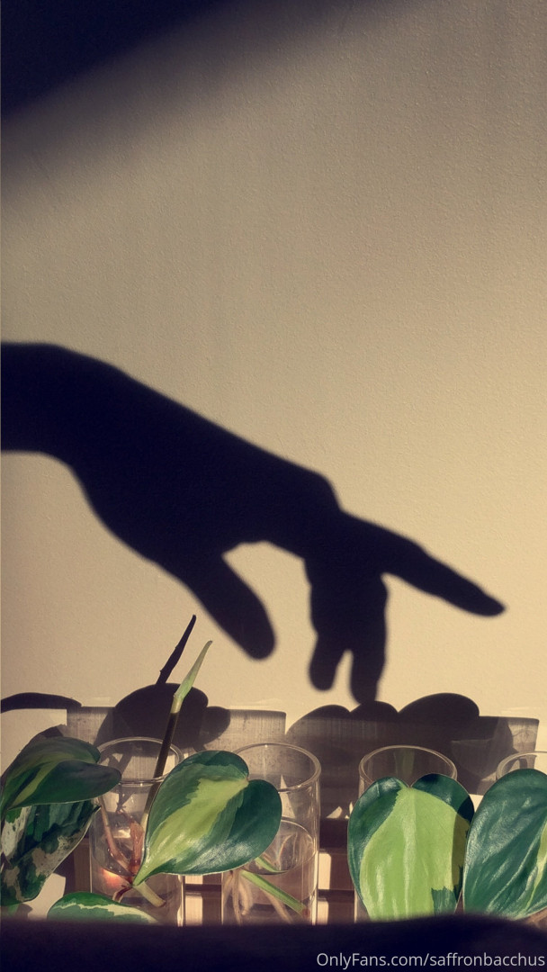 Photo by saffronbacchus published on June 5,2023 17:18:31 - BestThots