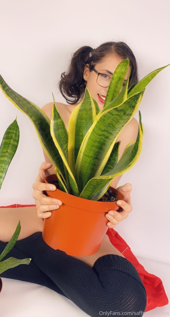 Photo by saffronbacchus published on June 5,2023 17:19:08 - BestThots