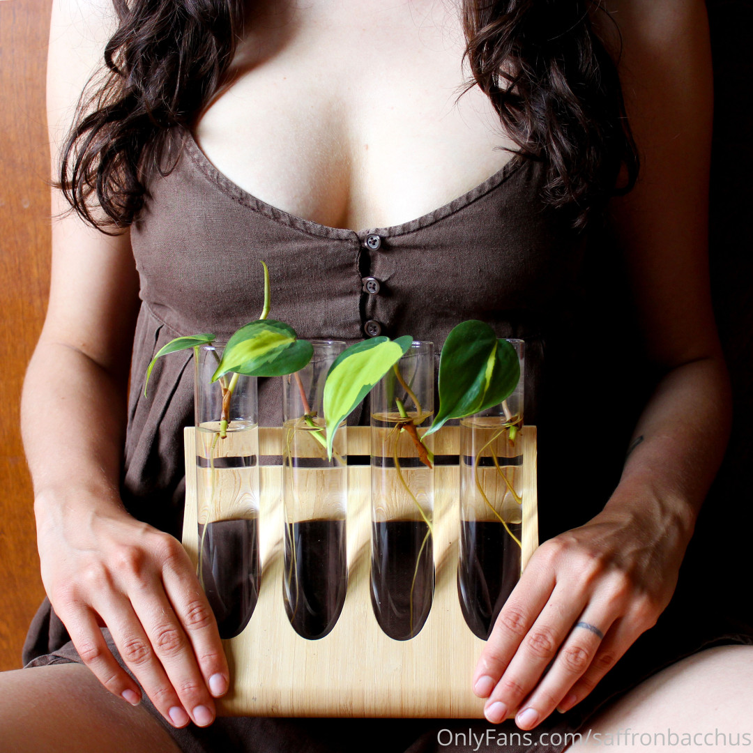 Photo by saffronbacchus published on June 5,2023 17:20:44 - BestThots
