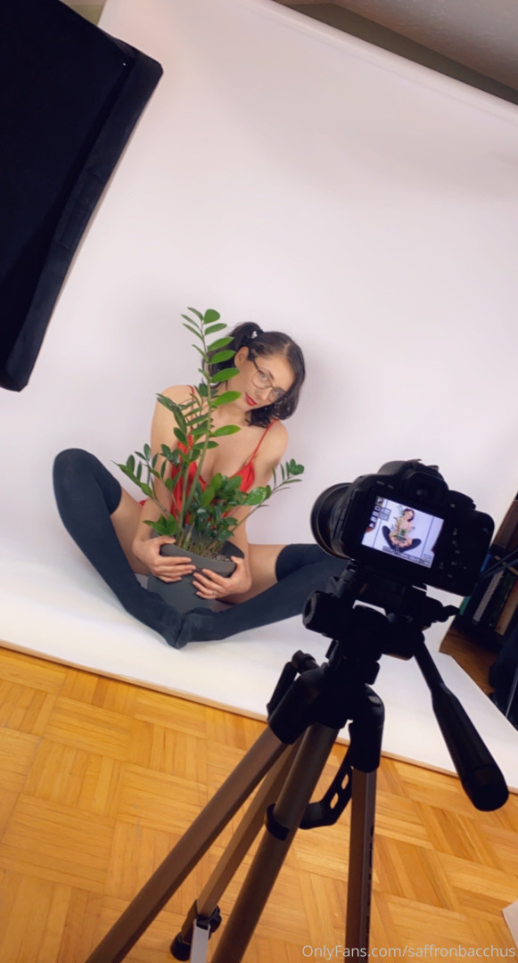 Photo by saffronbacchus published on June 5,2023 17:22:39 - BestThots