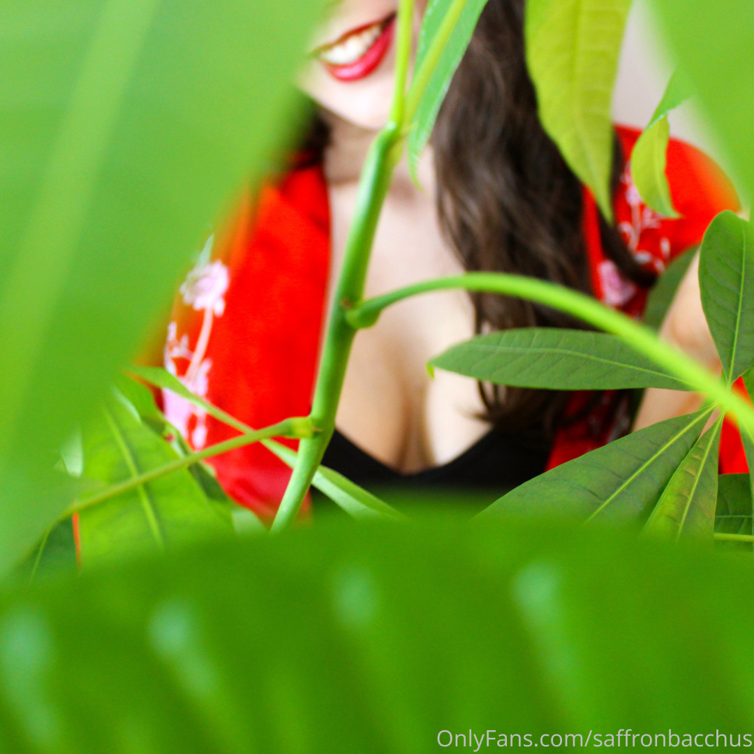 Photo by saffronbacchus published on June 5,2023 17:25:57 - BestThots