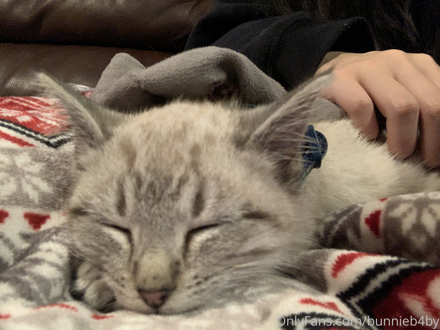 Photo by bunnieb4by published on June 10,2023 23:33:45 - BestThots