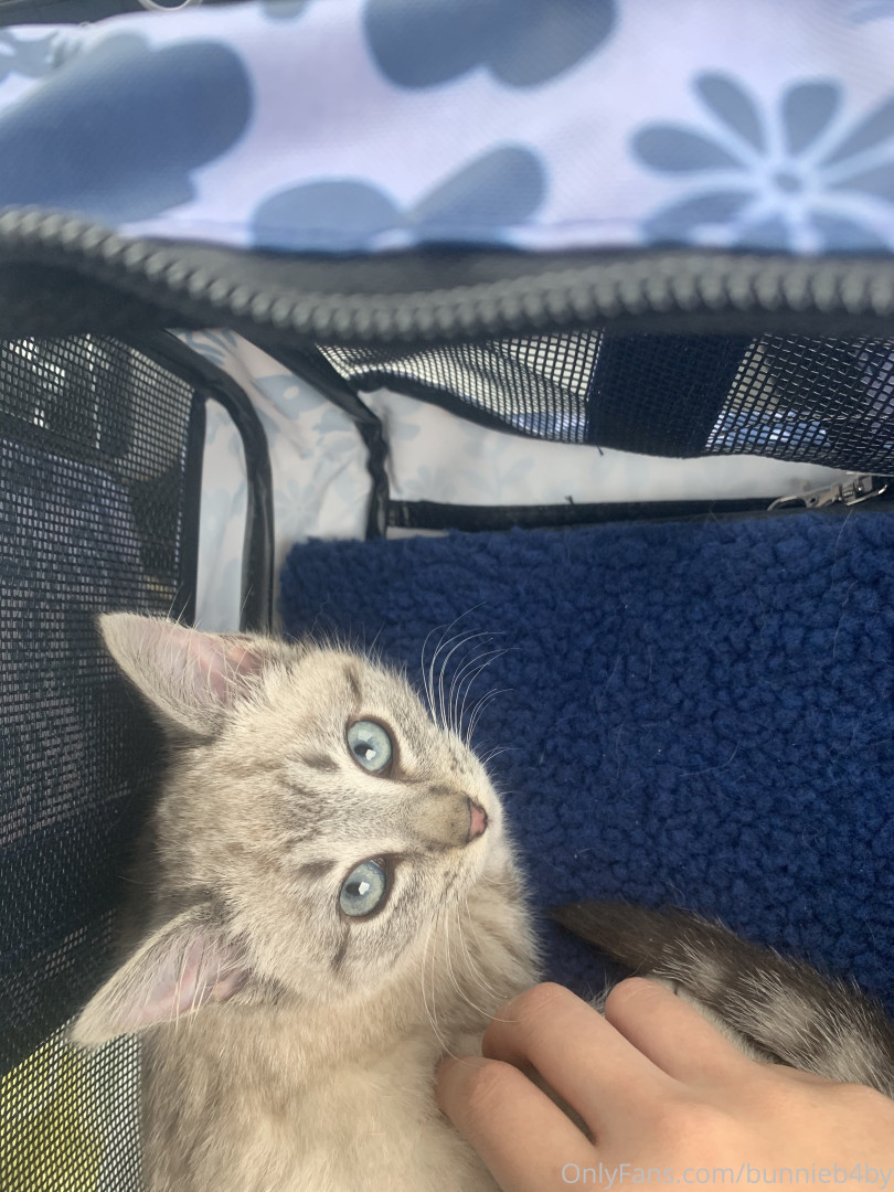 Photo by bunnieb4by published on June 10,2023 23:36:41 - BestThots