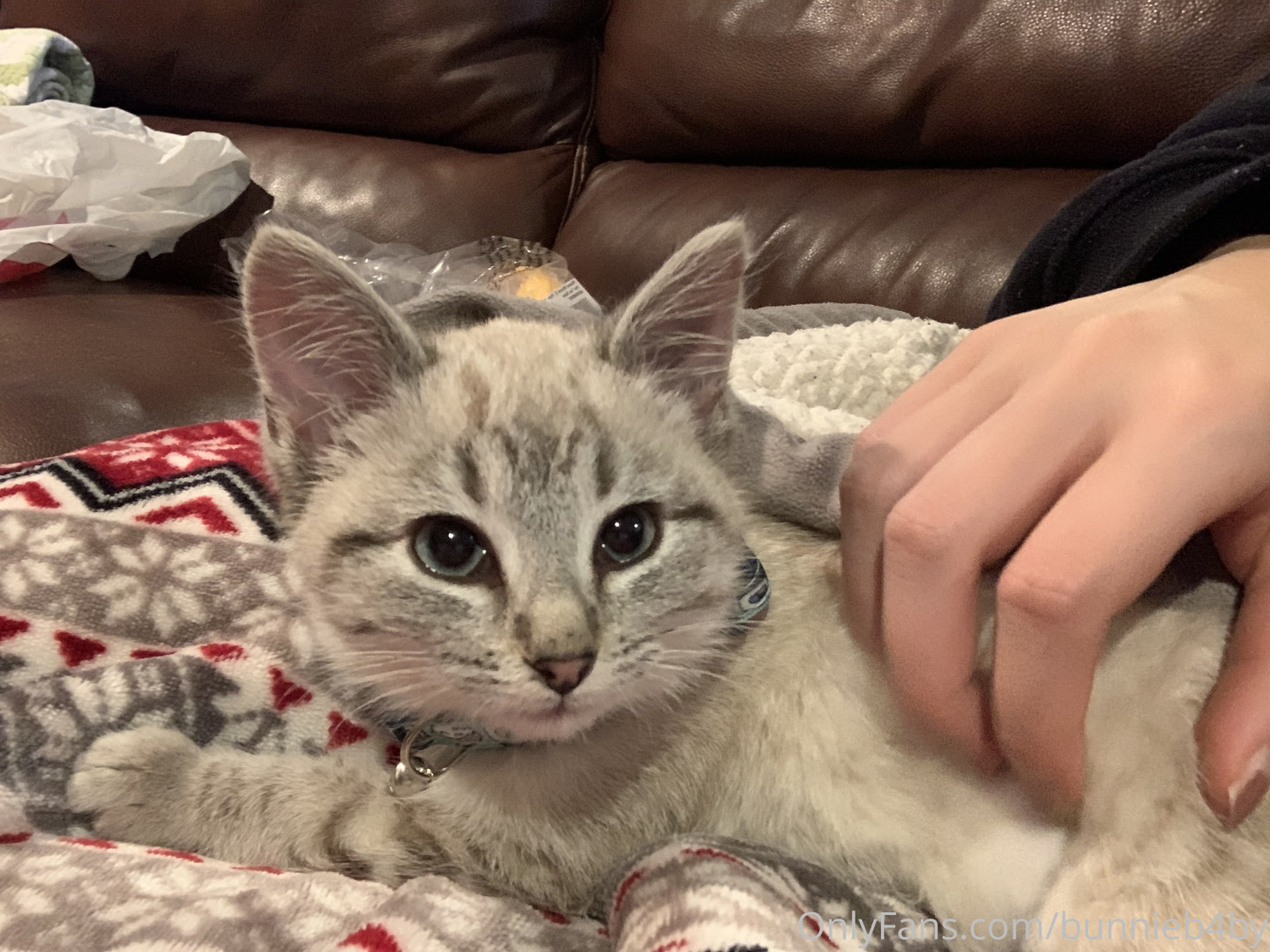 Photo by bunnieb4by published on June 10,2023 23:37:31 - BestThots