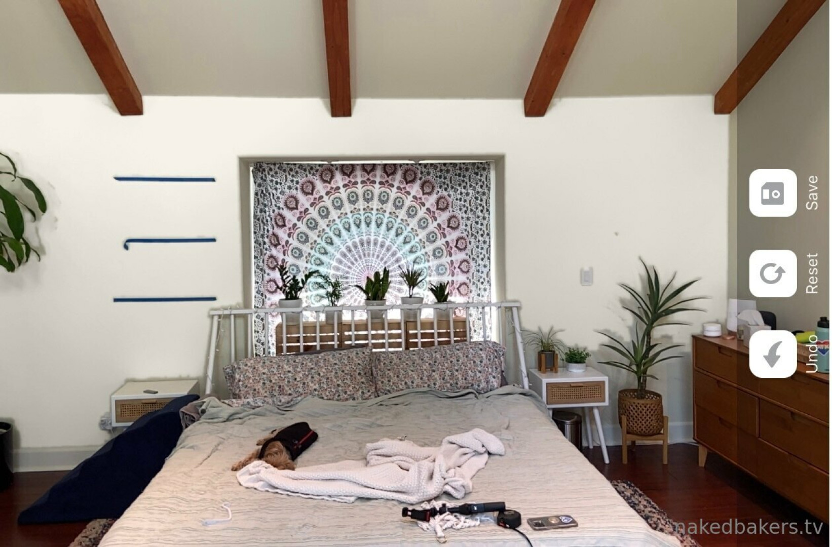 Photo by nakedbakers published on August 1,2023 10:12:41 - BestThots