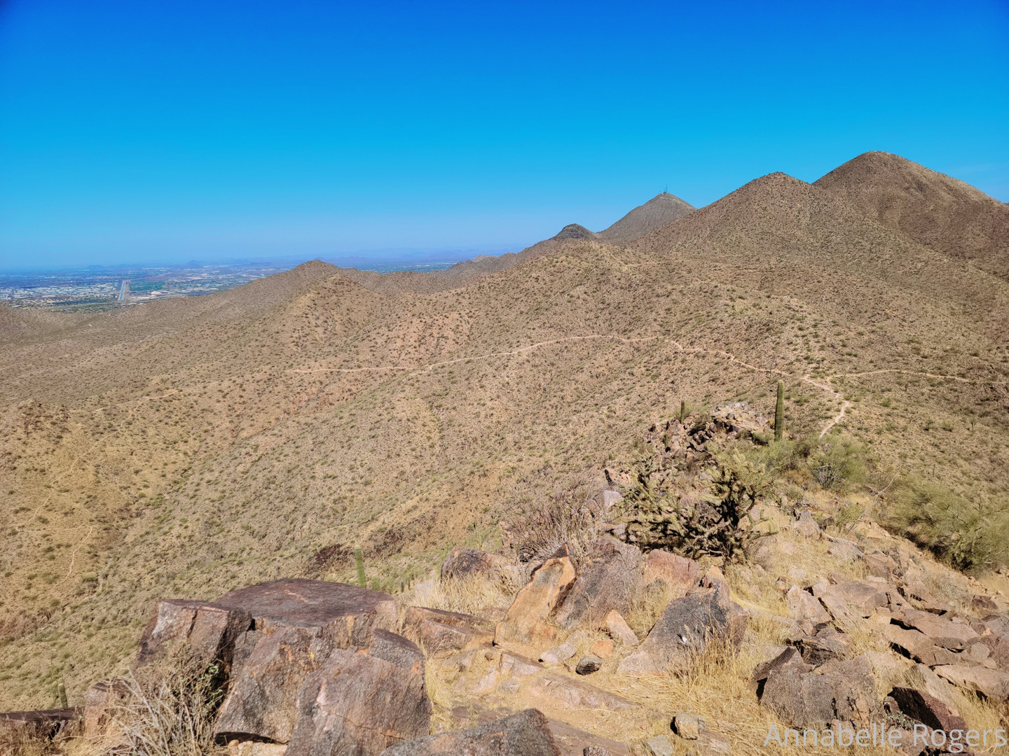 Photo by annabellerogers published on June 21,2023 15:39:20 - BestThots