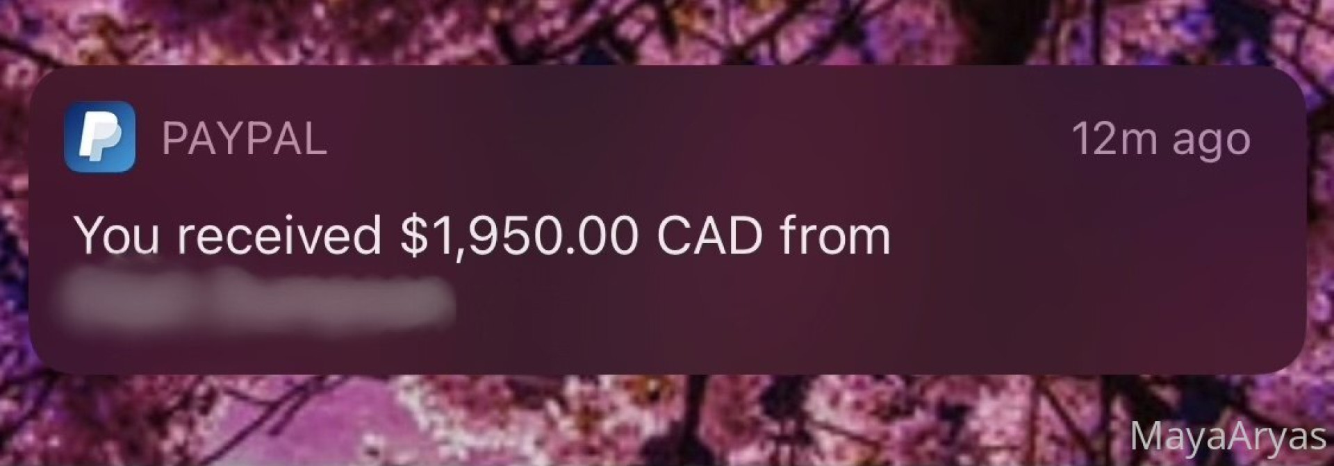 Photo by mayaaryas published on June 16,2023 03:12:02 - BestThots