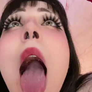 elliechii #1515684