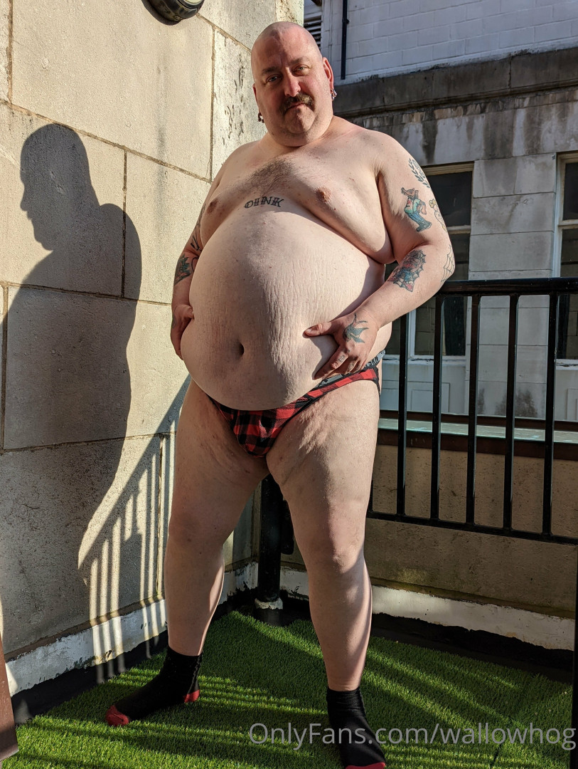 Photo by wallowhog published on May 16,2023 02:10:49 - BestThots