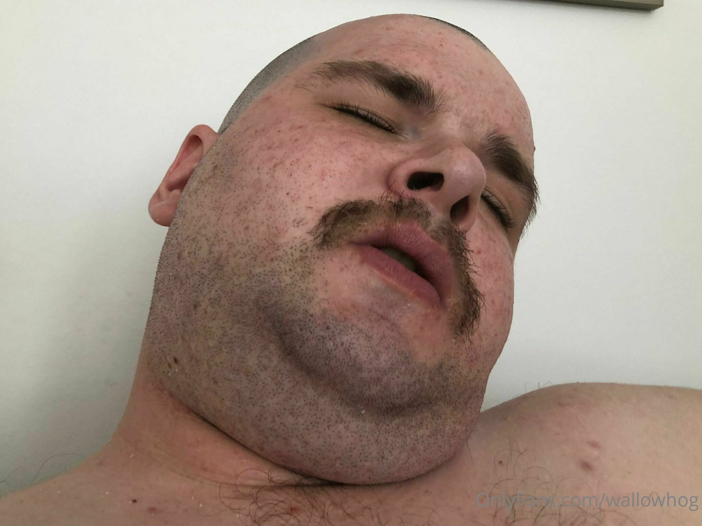 Photo by wallowhog published on May 16,2023 02:12:16 - BestThots